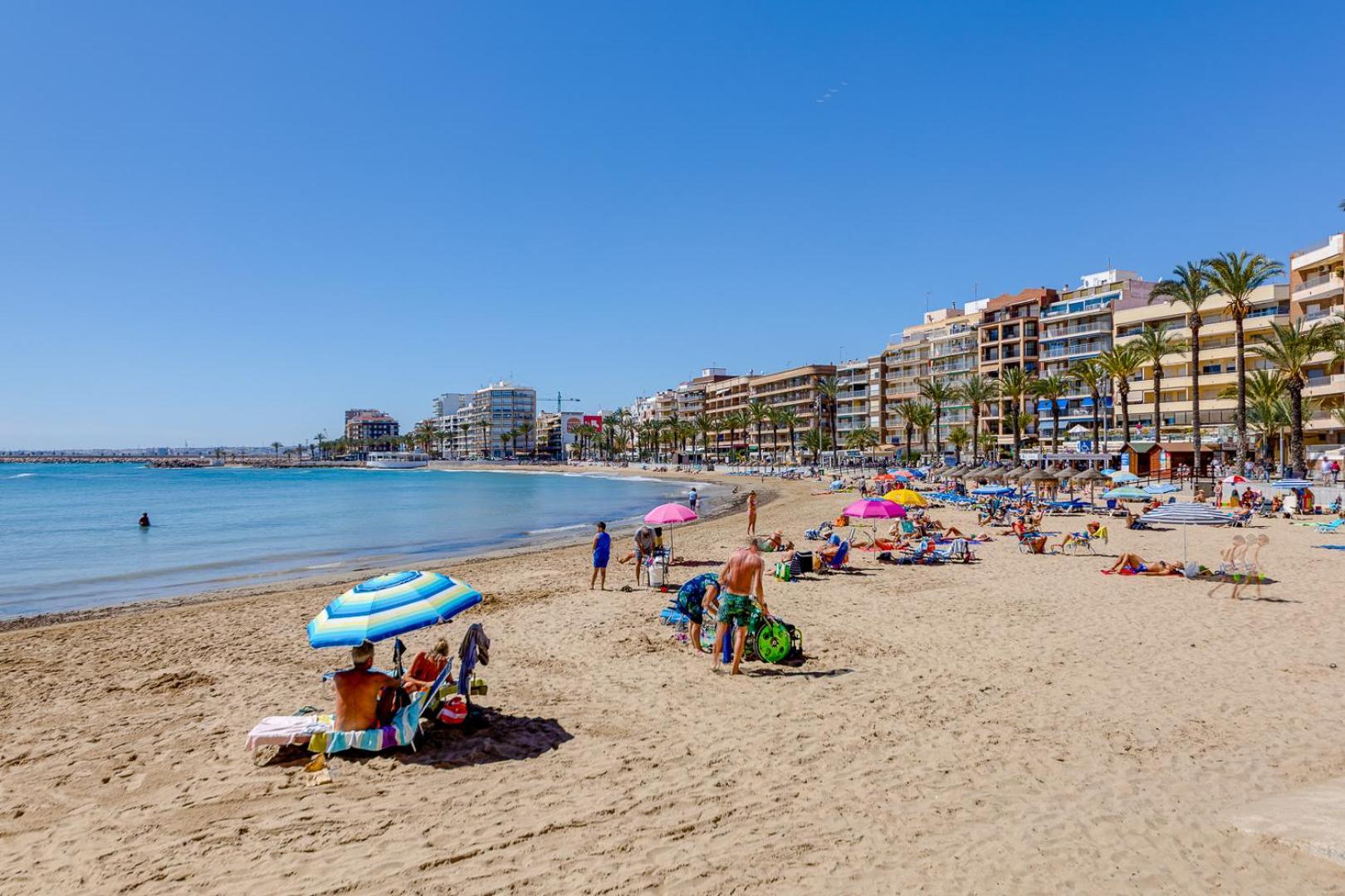Concordia Beachside Apartment: Near Del Cura & Central Station Torrevieja Exterior photo