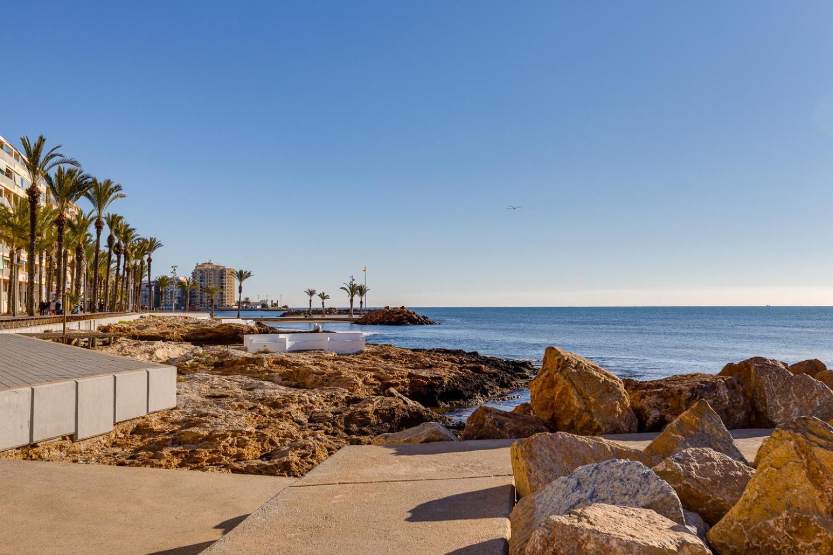 Concordia Beachside Apartment: Near Del Cura & Central Station Torrevieja Exterior photo