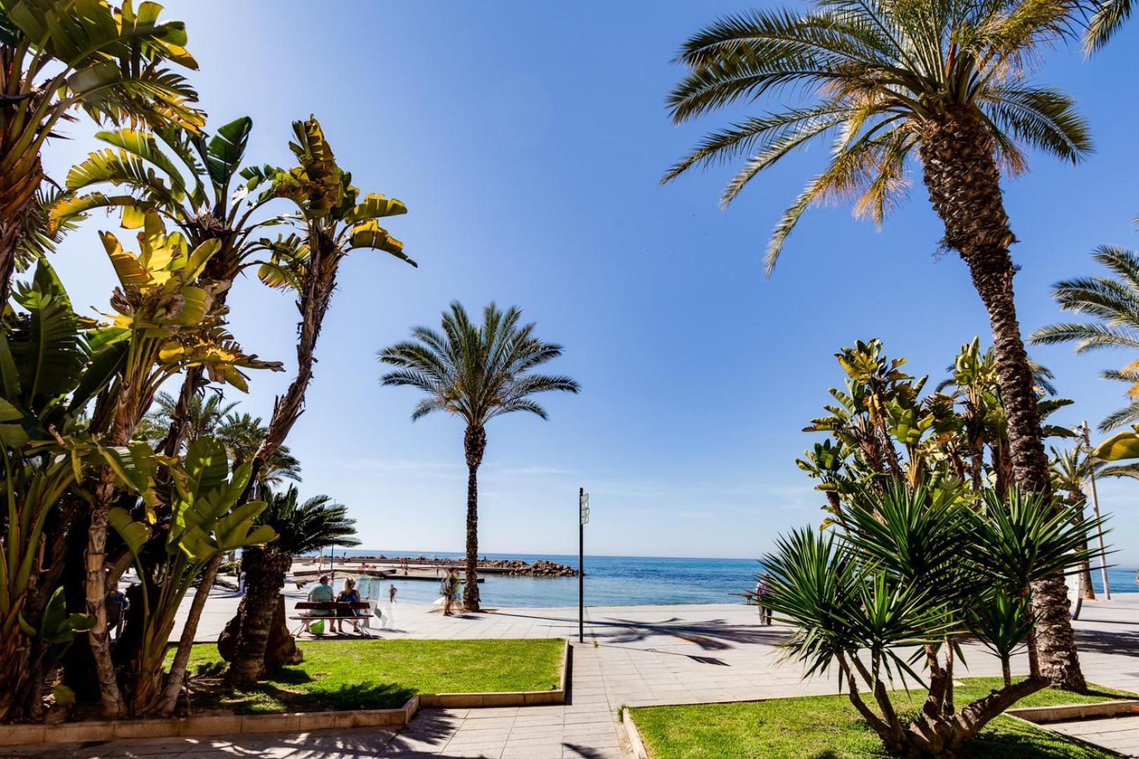 Concordia Beachside Apartment: Near Del Cura & Central Station Torrevieja Exterior photo